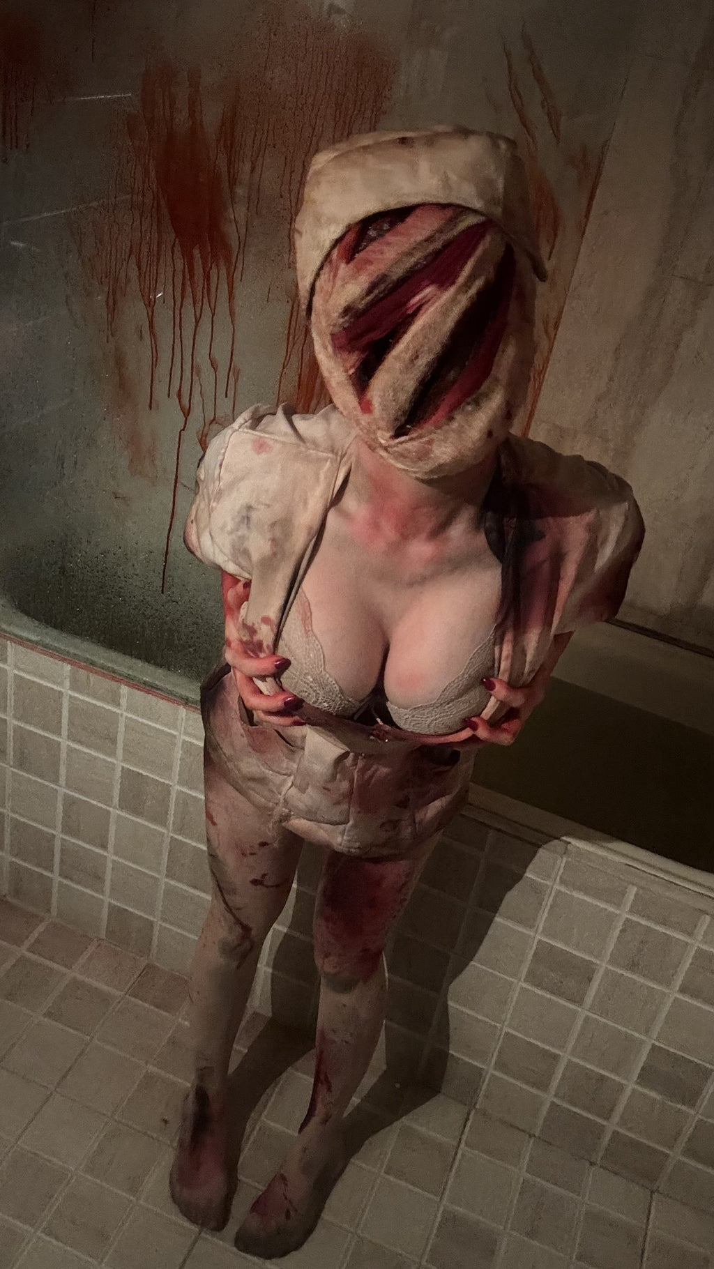 Full set: Silent hill nurse and Secretary